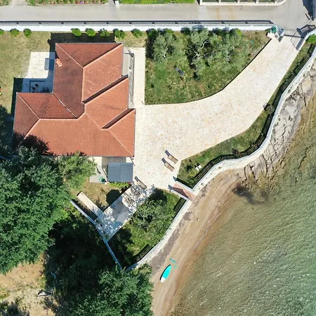 Rose * Zadar
