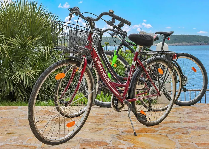 度假居 Rose 扎达尔