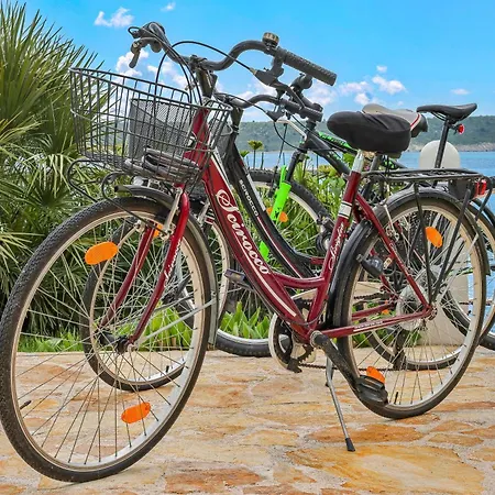 Casa de Férias Rose Zadar