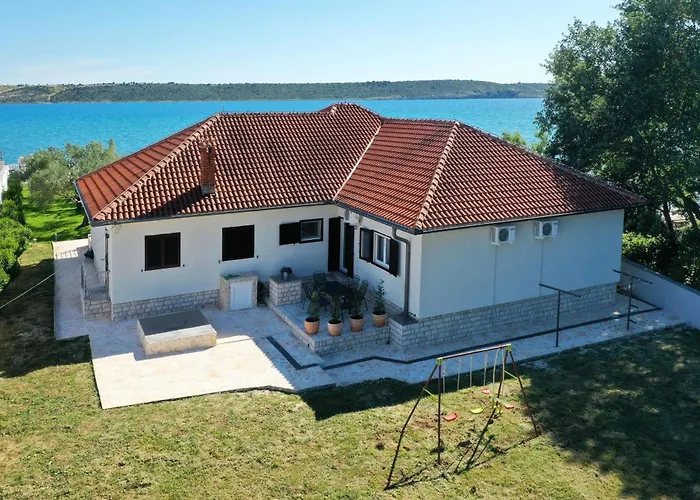 Rose Zadar