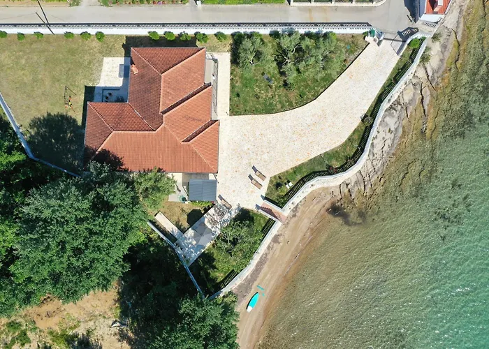 Rose * Zadar